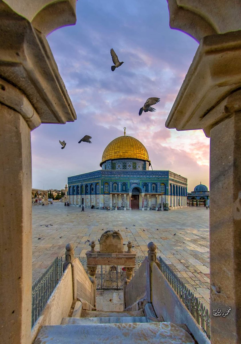 Good morning from Jerusalem😍