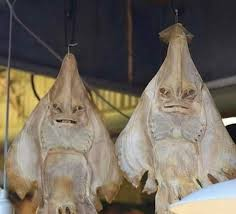 Ingat tak masa kita kecil-kecil dulu, terlalu banyak kejadian pelik-pelik yang kita kaitkan dengan hal ghaib tetapi rupanya tiada apa pun, sama ada ia palsu/rekaan ataupun terdapat penjelasan saintifik disebaliknya.