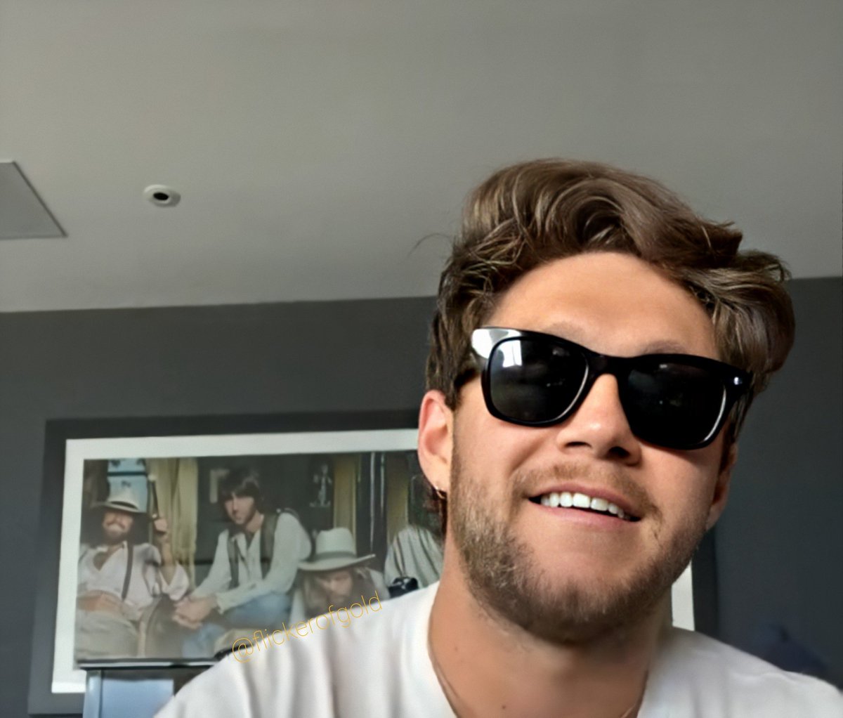 Niall Horan on this day only:A long, but 𝙫𝙚𝙧𝙮 important thread