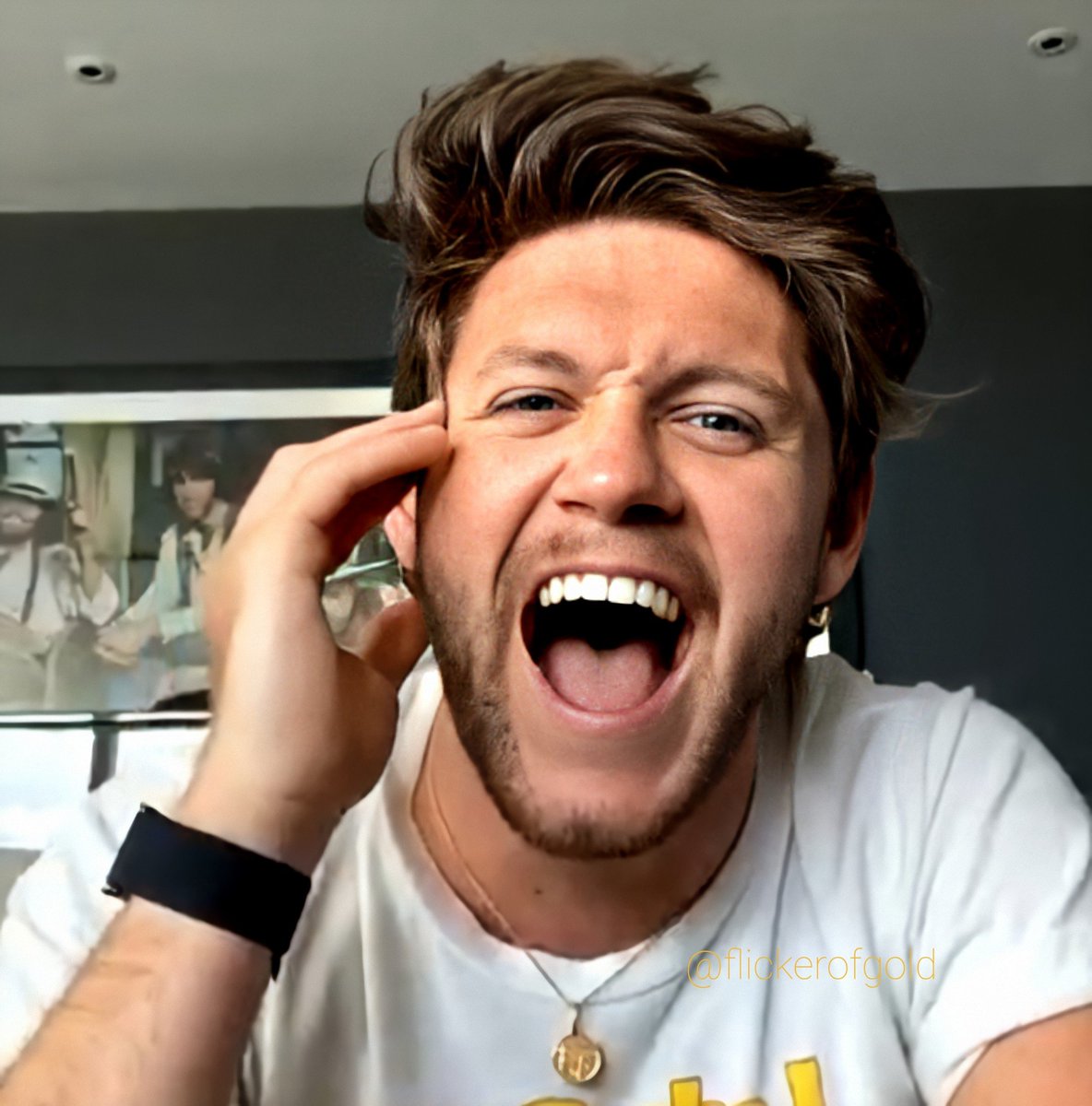 Niall Horan on this day only:A long, but 𝙫𝙚𝙧𝙮 important thread