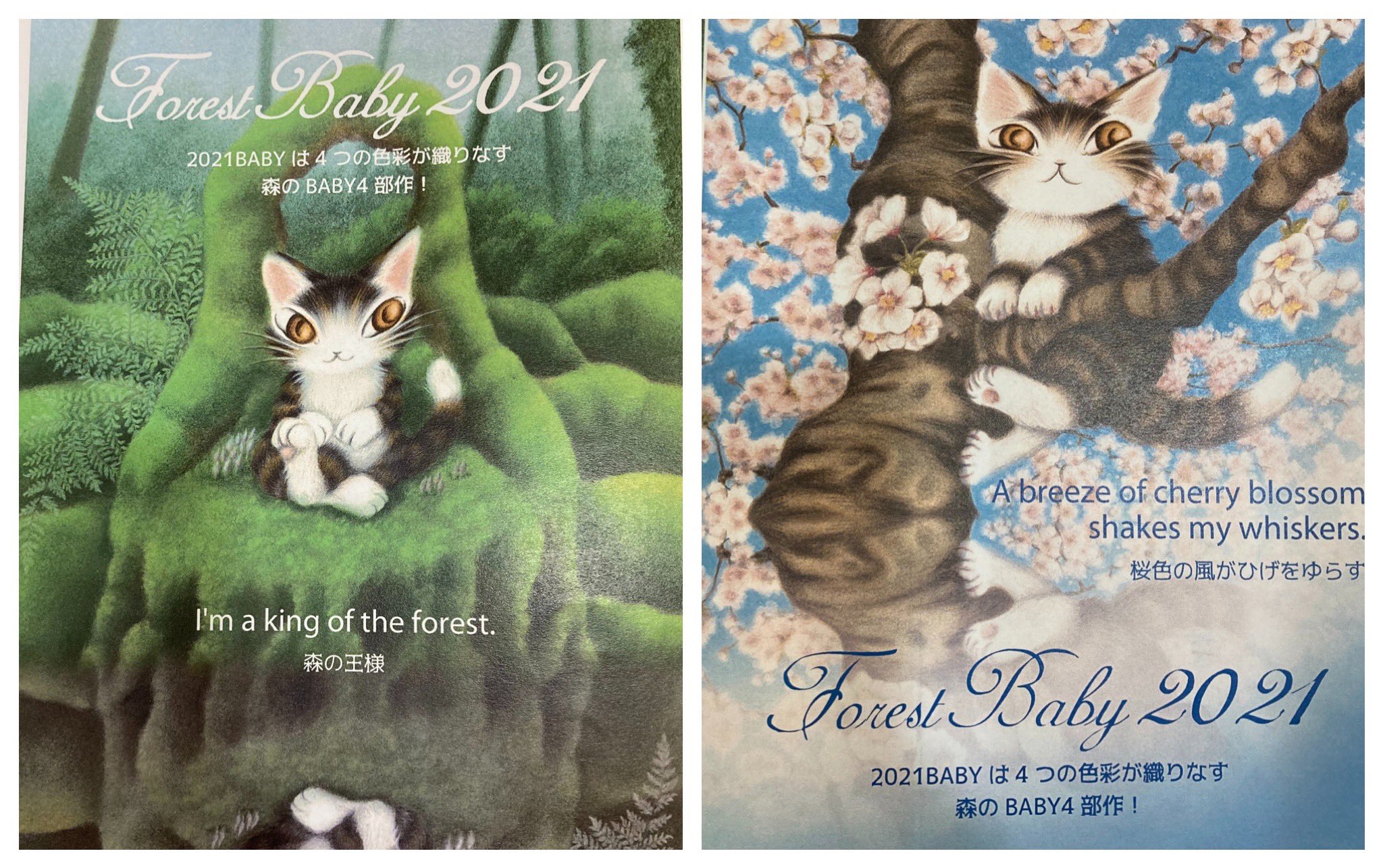 株式会社わちふぃーるど 新宿ラビリンス店 2021年babyダヤンは ロングセラー定番となった 森のささやき Forest Baby から およそ10年 新シリーズとして作家描き下ろされた 2021年3月は発刊予定の ダヤンと森で遊ぼう から森の 株式会社わちふぃーるど 新宿ラビリンス店 2021年babyダヤンは ロングセラー定番となった 森のささやき Forest Baby から およそ10年 新シリーズとして作家描き下ろされた 2021年3月は発刊予定の ダヤンと森で遊ぼう から森の