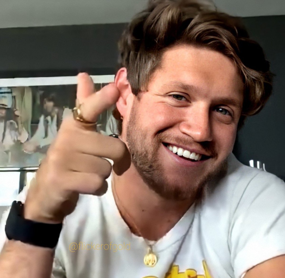 Niall Horan on this day only:A long, but 𝙫𝙚𝙧𝙮 important thread