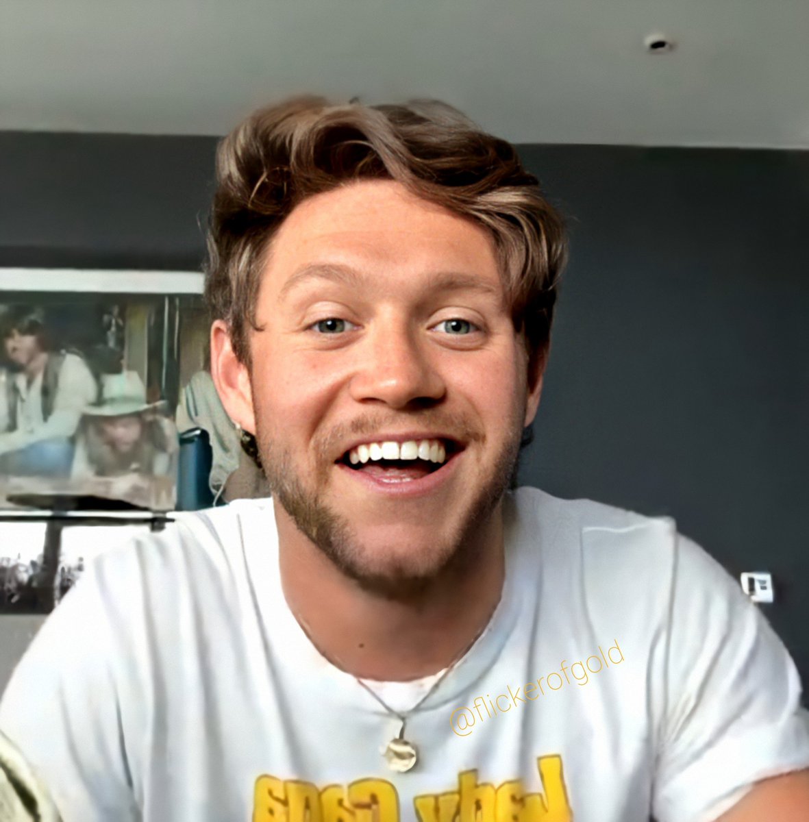 Niall Horan on this day only:A long, but 𝙫𝙚𝙧𝙮 important thread