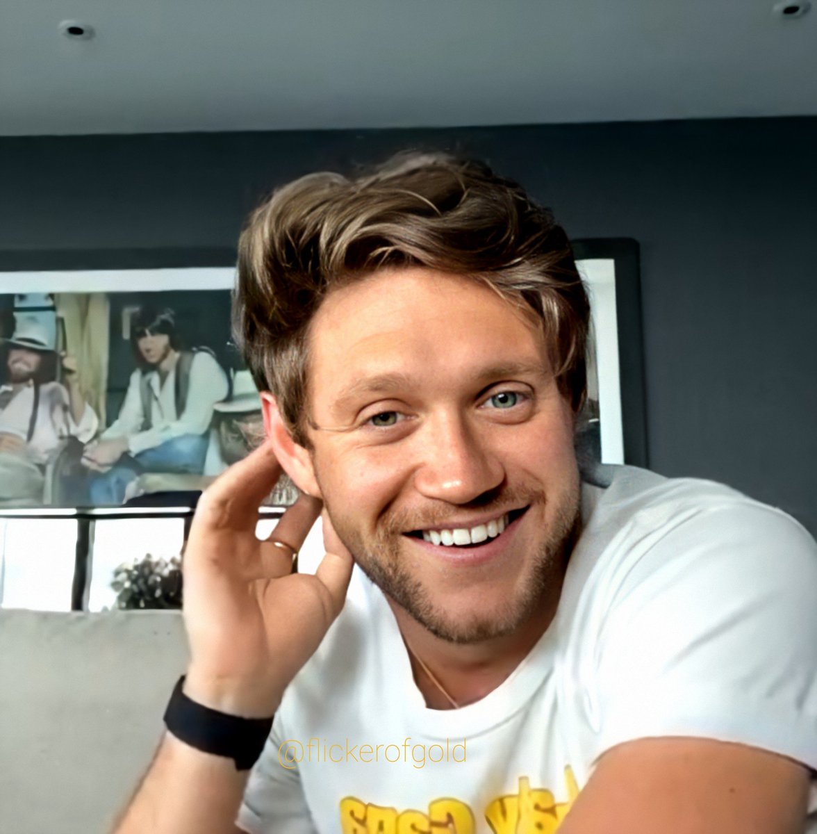 Niall Horan on this day only:A long, but 𝙫𝙚𝙧𝙮 important thread