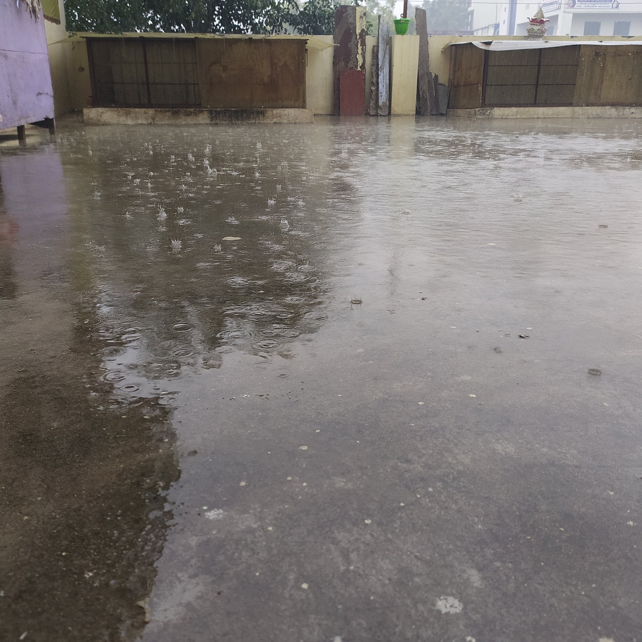 Nidhi Ashwani Bhargava on X: Good morning with tip tip barish #goodmorning  #GoodMorningTwitterWorld #Good_morning #Rain #rainyday  t.coNNN55X11vZ  X