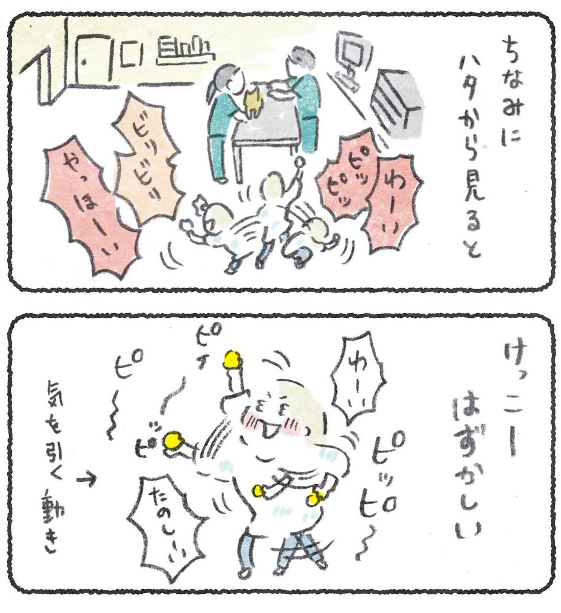 注射嫌いな犬のためにおやつやオモチャで気を引く作戦

先生と看護師さんにはいつも笑われています?
#豆しばこつぶ 