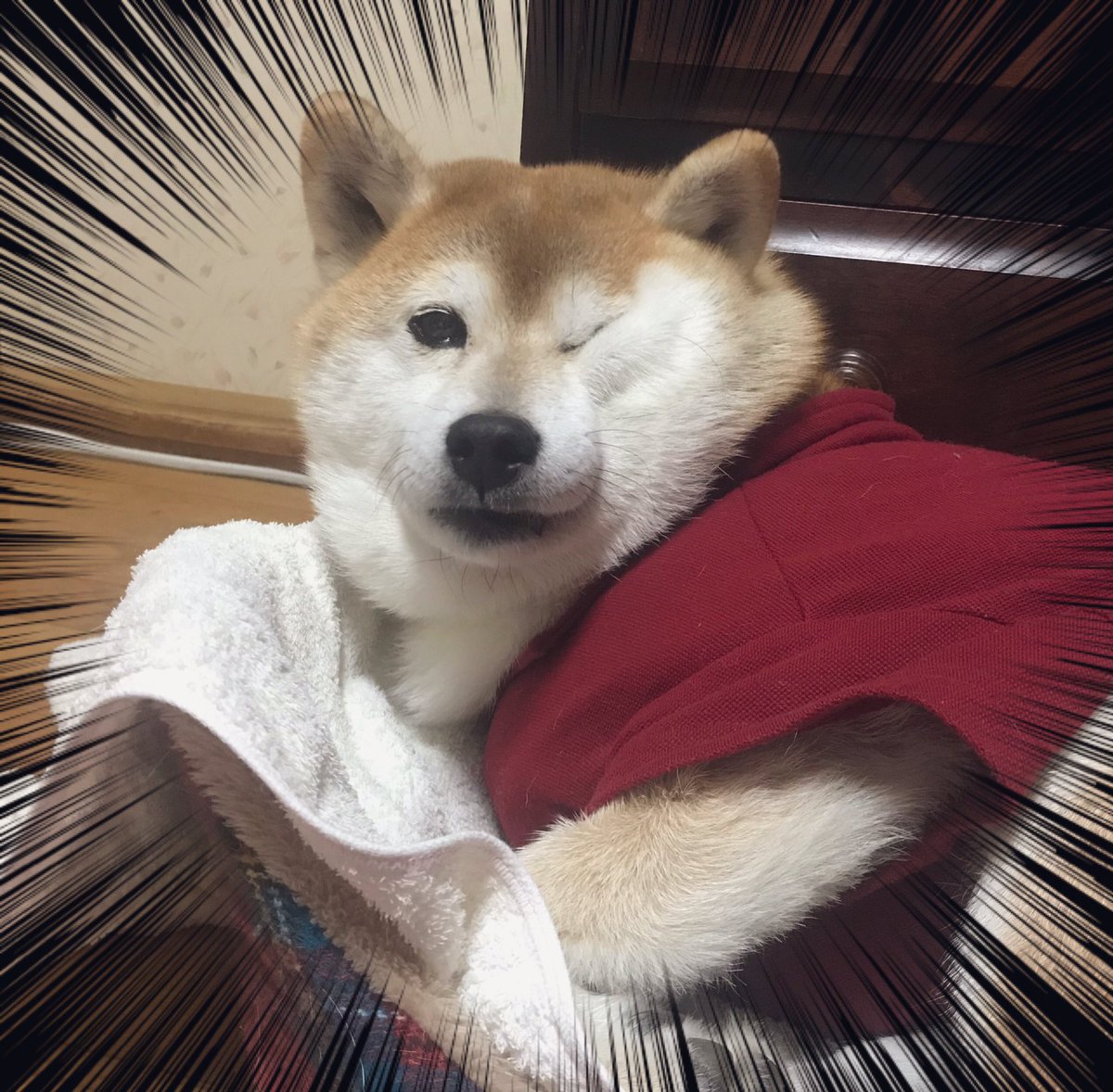 ふてぶてしい顔