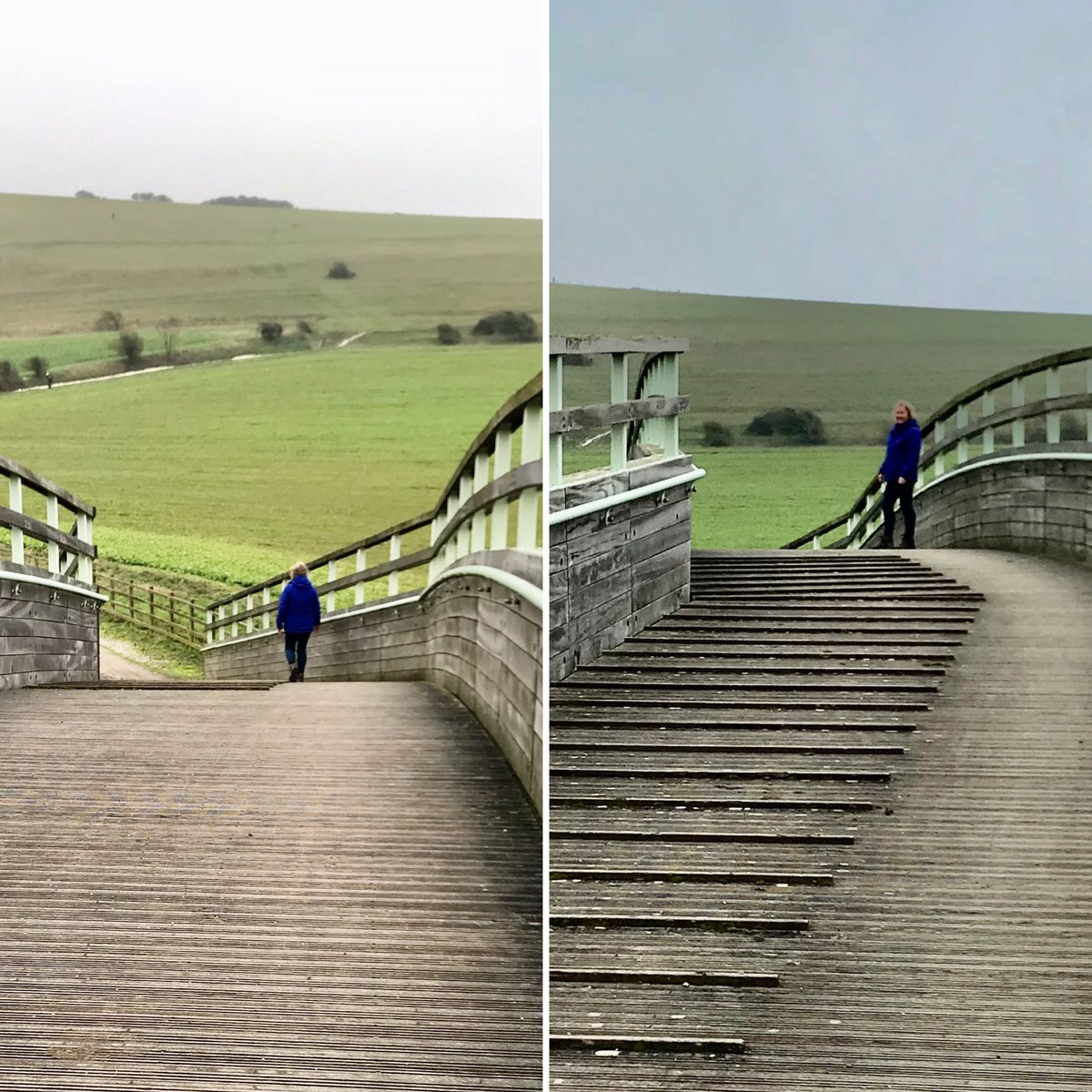 RanscombeBandB's tweet photo. Southdowns walk from Ranscombe House B&amp;B 10 mls https://t.co/53vZwqdfvt