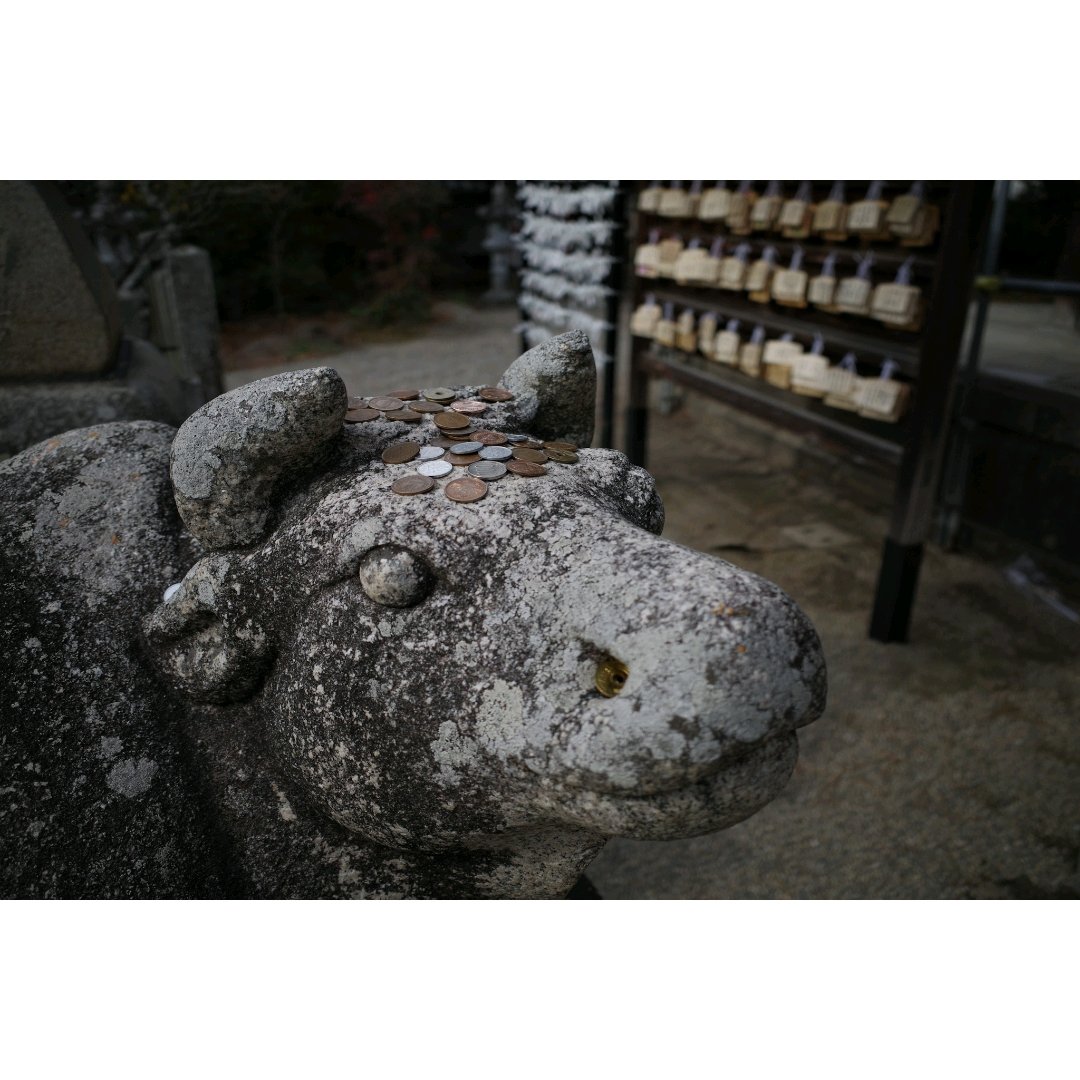 masayasu_photo's tweet photo. 毎年恒例の我が家の初詣先
学問の神様『菅原神社』
長男坊と次男坊それぞれの学業成就
を祈願してきました
RICOH GRⅢ
#noprocessing
#本日のかわいいやつ https://t.co/lxjNBk37gA