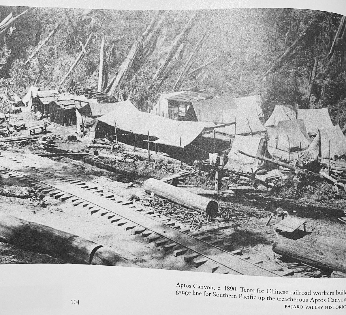The Southern Pacific Railroad built a broad-gauge spurline from Aptos into the Aptos canyon to tap one of the largest stands of old-growth redwood timber still standing in Santa Cruz County (*today Forest of Nisene Marks). As always, the railroad relied on Chinese labor.” p. 103.