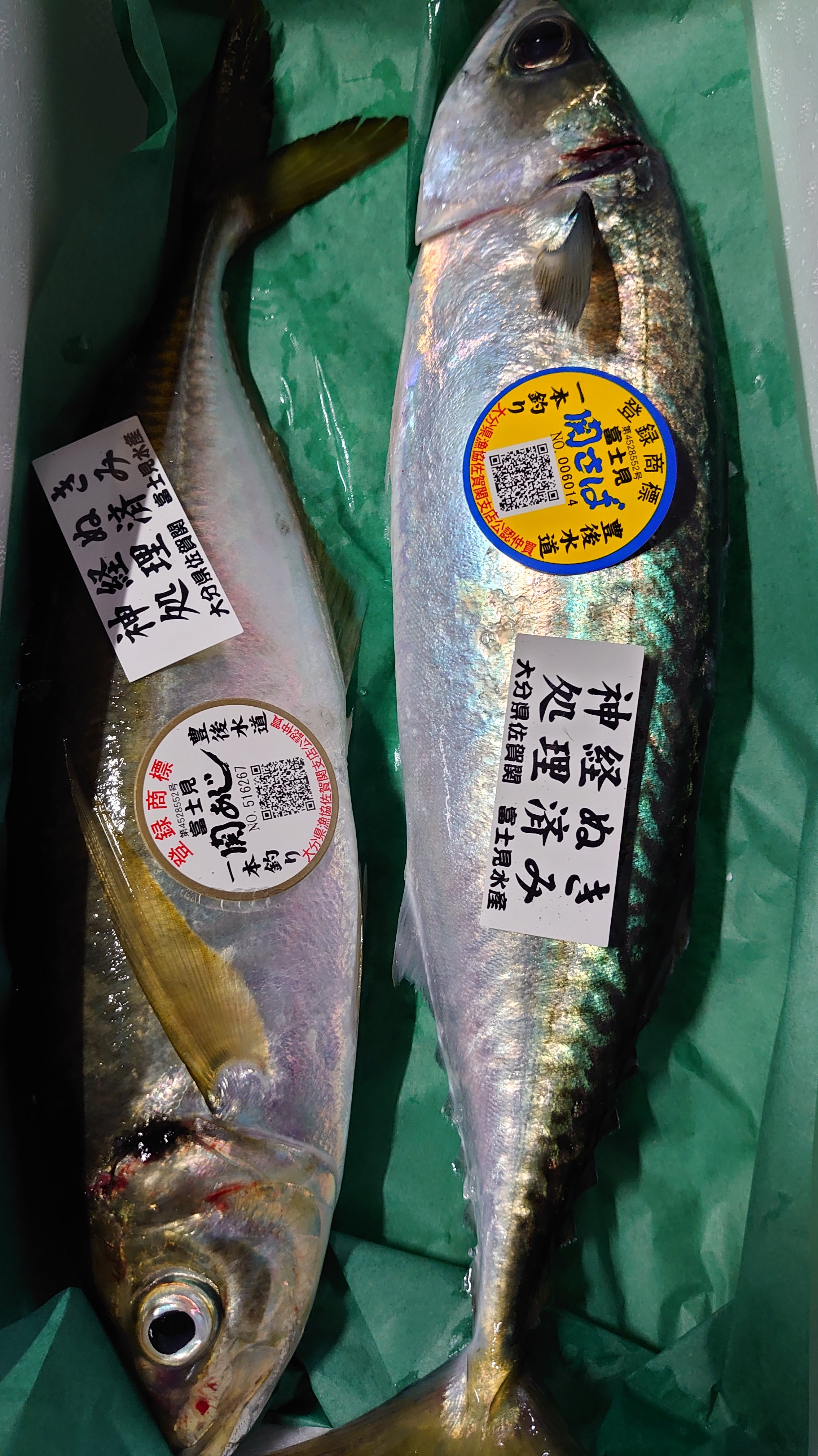 富士見水産 大分県 佐賀関店 Fi1lxfg9fay6qde Twitter