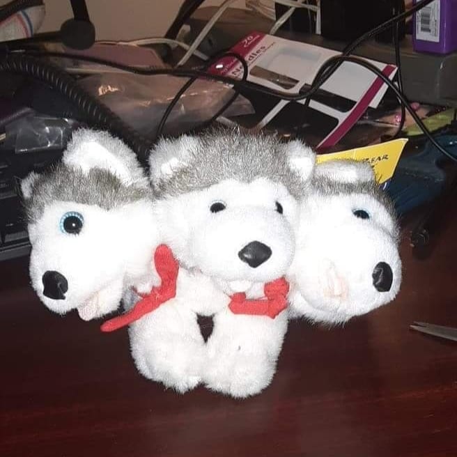 CreatesDawn's tweet photo. Last commission of 2020. First completed project of 2021
Custom Cerberus stuffie I made using Husky Build-a-Bear smallfries. 

#buildabearcustom #customstuffies #custombear #buildabear #cerberus #greekmythology #threeheadeddog https://t.co/sqGT2KfL1V
