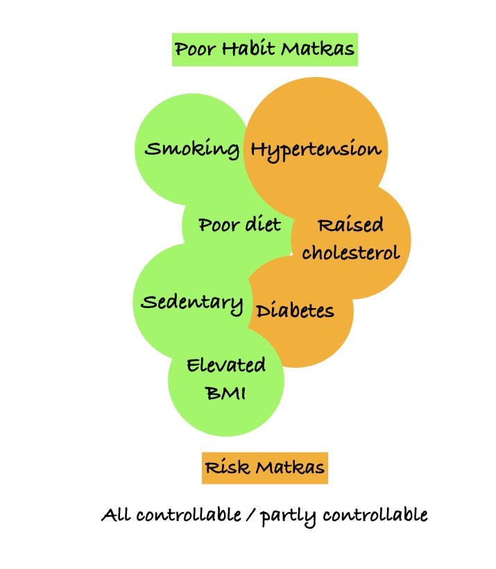Our cardiovascular risk and habit matkas adapted from an edit by Dr. Vera Bittner. @uabmedicine. Read more about our matka of statin intolerance. 
matkamedicine.substack.com/p/the-matka-of…
#statinintolerance #statins #nocebo
