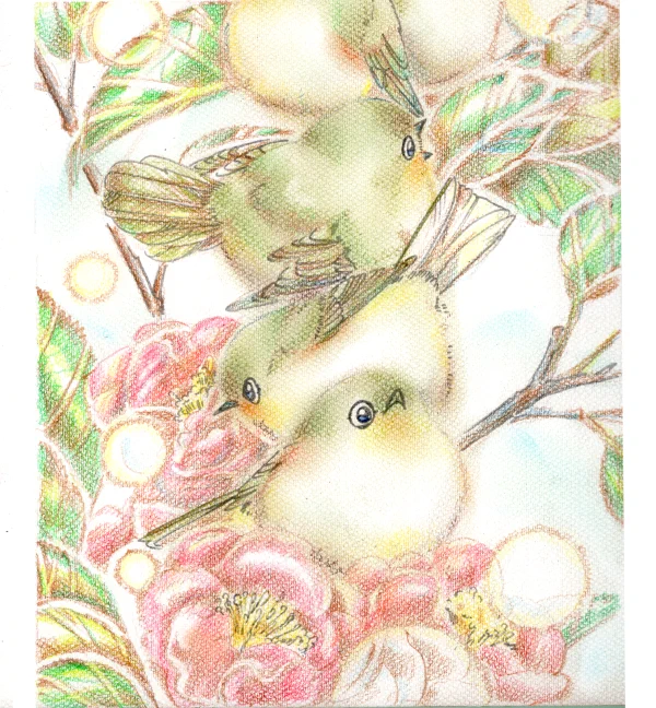 椿めじろ
#イラスト #鳥 #アナログ 