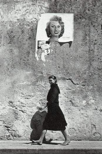 Susana Santos (@susanas63906053) on Twitter photo 