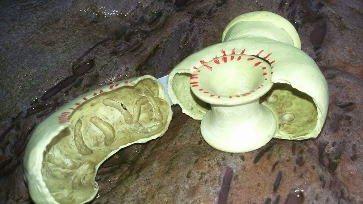 Whereas Roll tends to go for epoxy resin, metal or thermo - plastic.