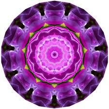 MAGENTA is interpreted by the most ancient teachings of the Great Mystery Schools, as the colour of the 8th chakra -" The Soul Star "- residing just outside the physical body, and above the head. MAGENTA contains our individual "Soul Blueprint", otherwise known as Akashic Record"