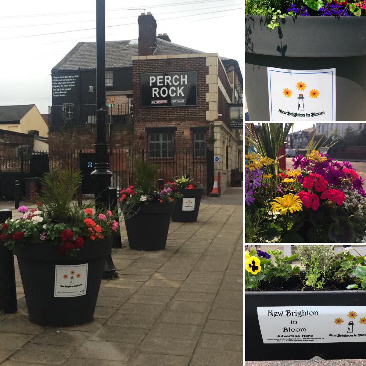 New Brighton In Bloom (@newbrightonnibs) on Twitter photo SPONSORSHIP OPPORTUNITIES
As a voluntary group, to fund our blooms we raise money in different ways, through donations, sponsors and events. 🌼
Interested in your company name and logo on our planters and posts? Get in touch. 🌼🌼🌼
Email Vicky: newbrightoninbloom@gmail.com SPONSORSHIP OPPORTUNITIES
As a voluntary group, to fund our blooms we raise money in different ways, through donations, sponsors and events. 🌼
Interested in your company name and logo on our planters and posts? Get in touch. 🌼🌼🌼
Email Vicky: newbrightoninbloom@gmail.com