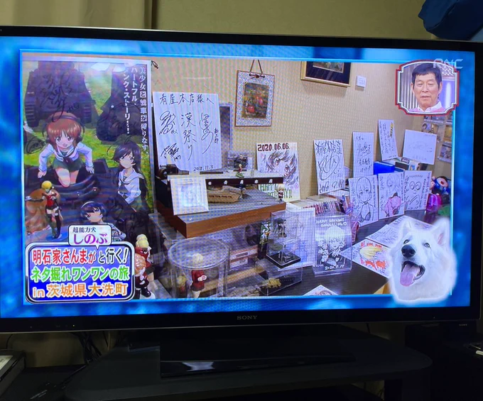 おおww!!昨日放送された「笑ってコラえて5時間スペシャル」で、さんまさんの大洗コーナーの録画を見直していたら、肴屋本店さんにお持ちしたダー様イラストが映っていたー!!お店にご展示頂きまして大変ありがとうございますー!! 