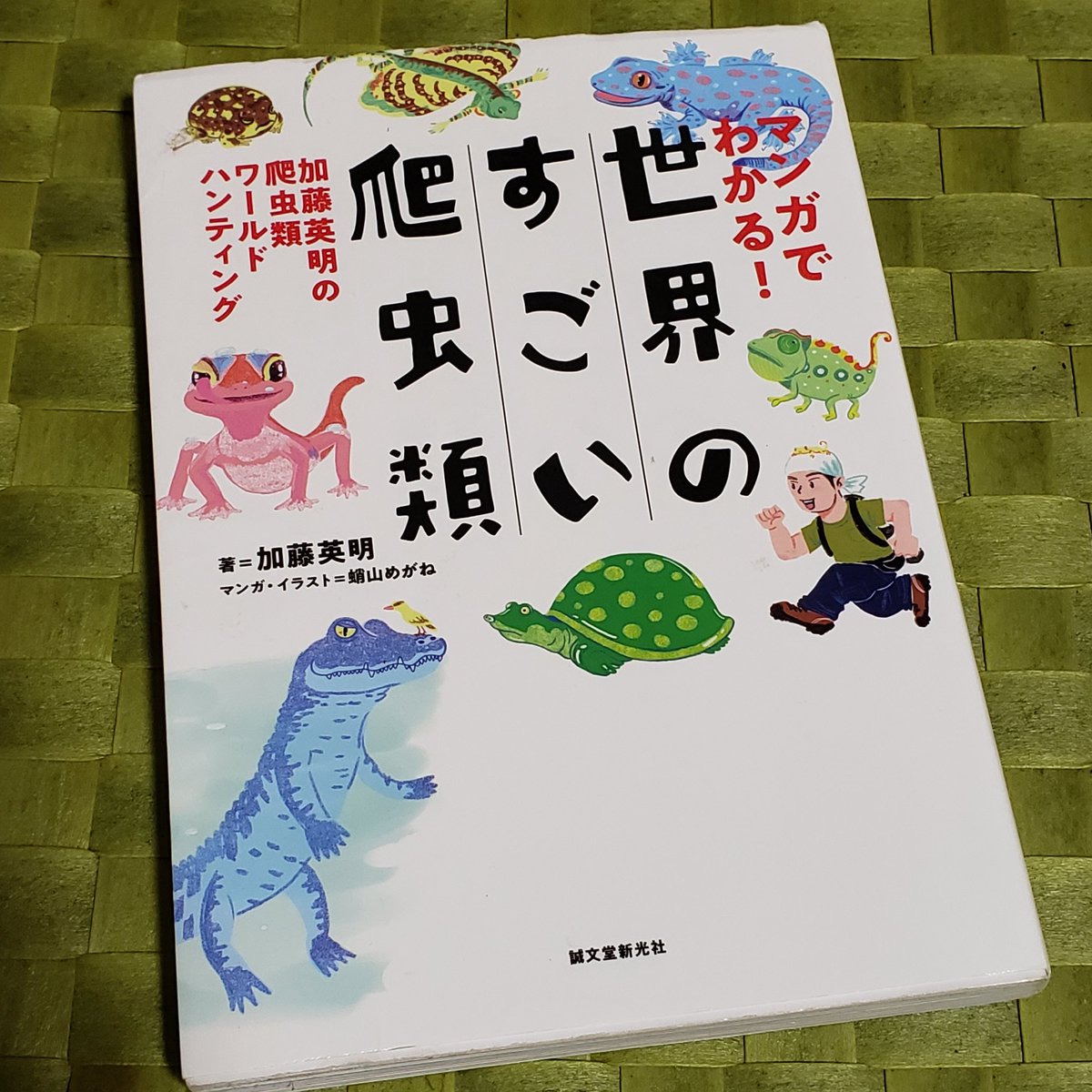 「池の水ぜんぶ抜く大作戦」に出演の加藤英明先生は、爬虫類含む生物の知識が豊富かつハントの様子もエネルギッシュで面白いなあ。
先生著『マンガでわかる!世界のすごい爬虫類』発売中です。
不要不急のお供にどうぞ。
#池の水ぜんぶ抜く大作戦
#爬虫類 #加藤英明

https://t.co/hfPqlM4A9y 