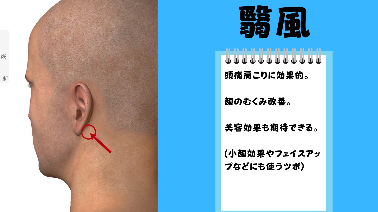ゆうだい On Twitter 1 300名達成健康祭り砲 ツボを添えて紹介 Hiiiro2000 委中 イチュウ 腰痛に効くツボ 足のむくみなどの改善にも役立つ Rie41200408 翳風 エイフウ 頭痛 肩こりに効く 顔のむくみも改善 美容効果