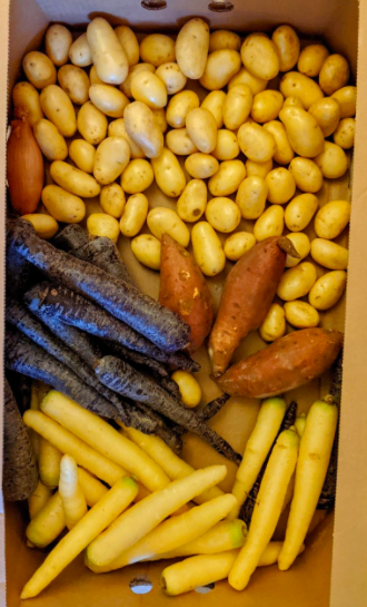 aplastic_planet's tweet photo. Don't these look great? At what point did we become so moronic that we thought everything needed a plastic shroud? Nature's skins outdo plastic skins any day of the year. We need to learn to live without unnecessary plastics.
#plasticfree #foodwaste #supplychainsustainability https://t.co/RzrX2Pe7xx