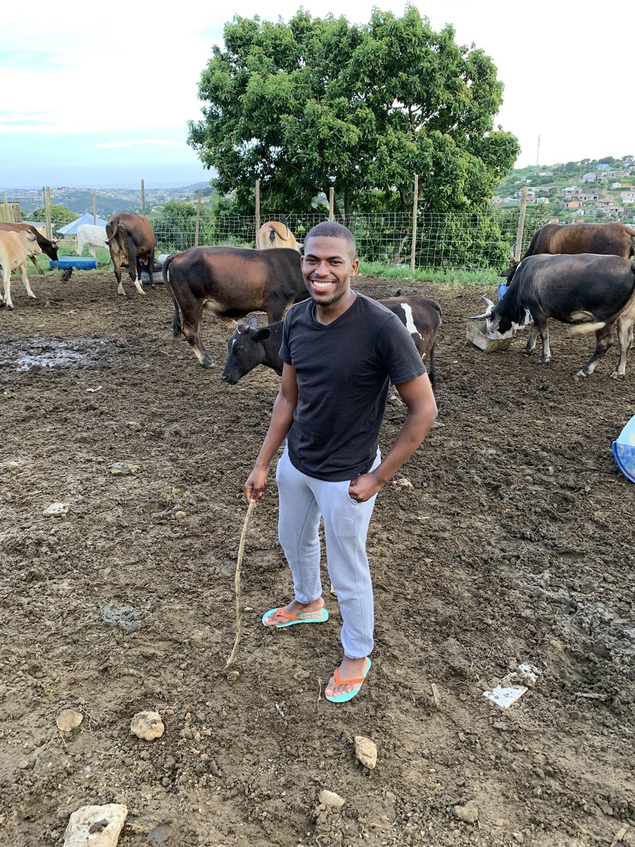 sfiso_hlongwa's tweet photo. Indoda yindoda ngezinkomo zayo😍❤️ https://t.co/st7yjMZRmt