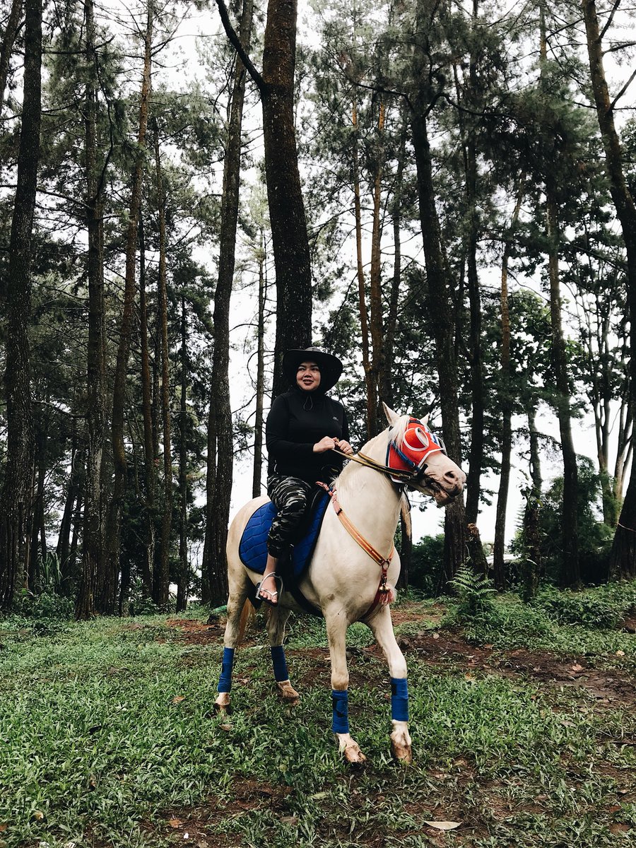 Dede Yudistira tweet media