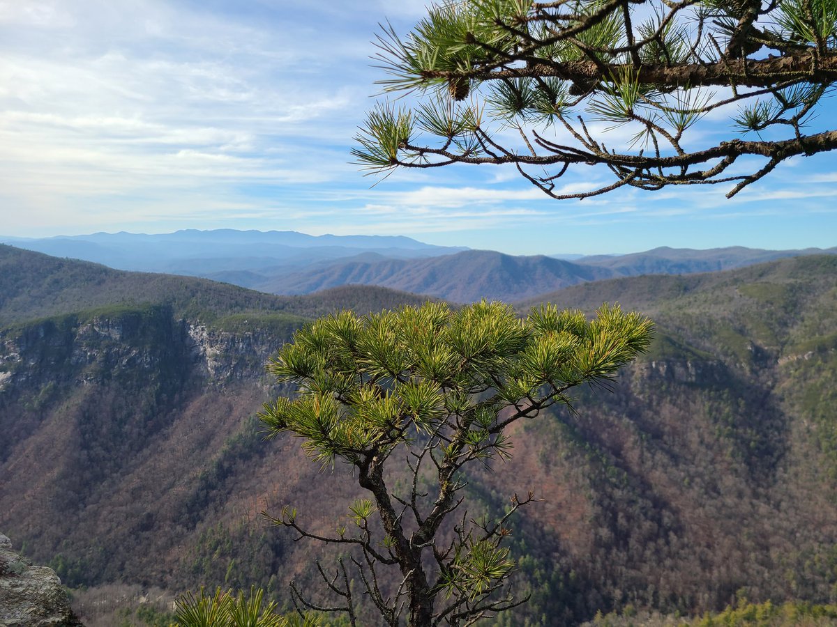 A few pics from a little bit of adventuring yesterday...