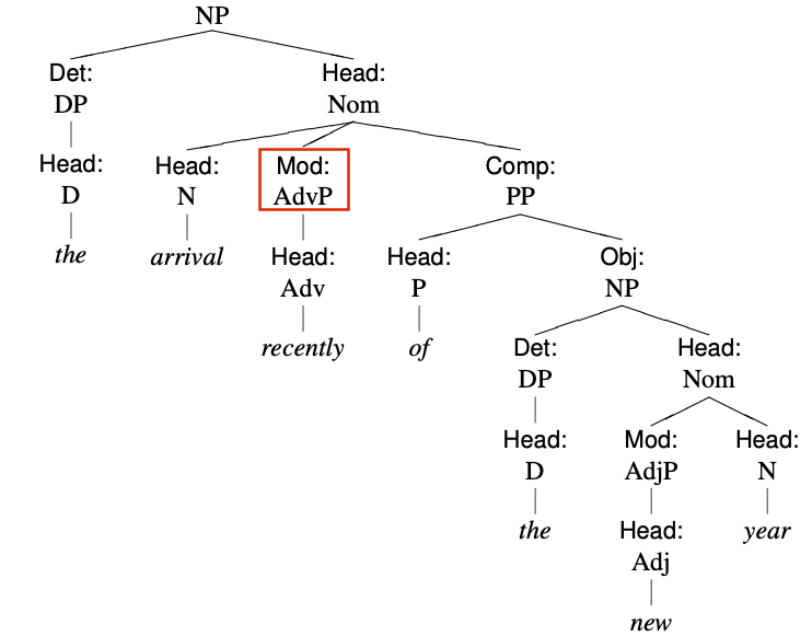 DailySyntaxTree's tweet photo. Here's today's #CGEL style #syntax tree, the NP
"the arrival recently of the new year"
Note the AdvP "recently" as a post-hear modifier before the complement. https://t.co/Xb35Bm0Txk