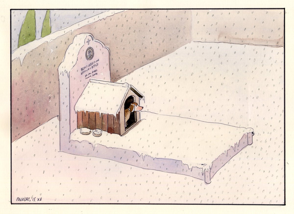 pacocatt's tweet photo. Mi viñeta de hoy domingo 3 de enero de 2021. Rem. https://t.co/EYb3956CZU