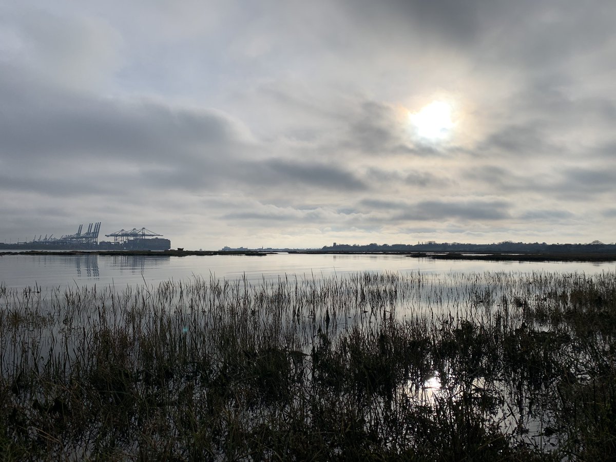 SWLSuffolk tweet picture