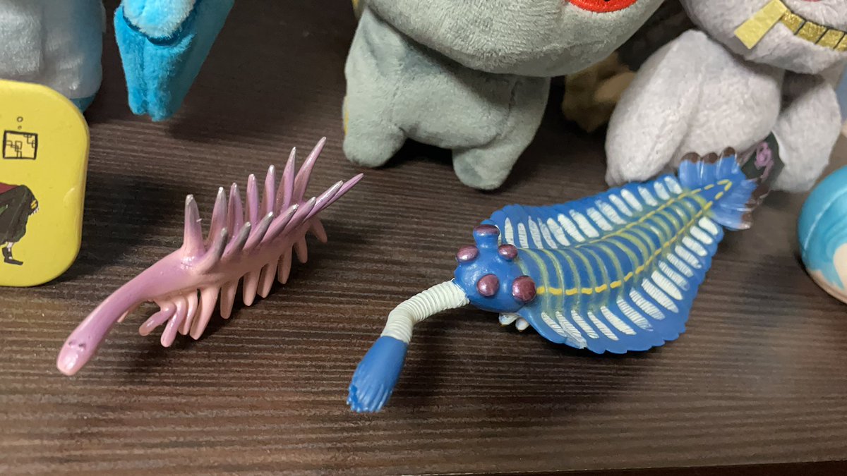 あ ハルキゲニアの方がかわいいと思います あ ハルキゲニアの方がかわいいと思います