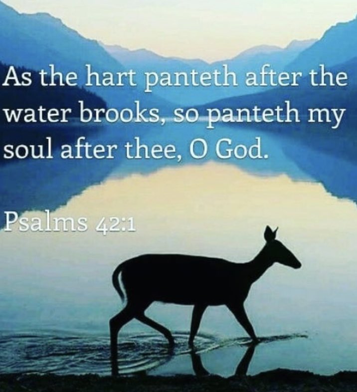 PSALM 42 V 1 As the deer panteth at the 🌊brooks so panteth my soul after thee O GOD V 8 Yet the LORD will command HIS loving kindness in the daytime n in the night HIS song shall be with me n my 🙏 unto the GOD of my life V 11 Why art thou cast down O my soul? Hope thou in GOD🔥