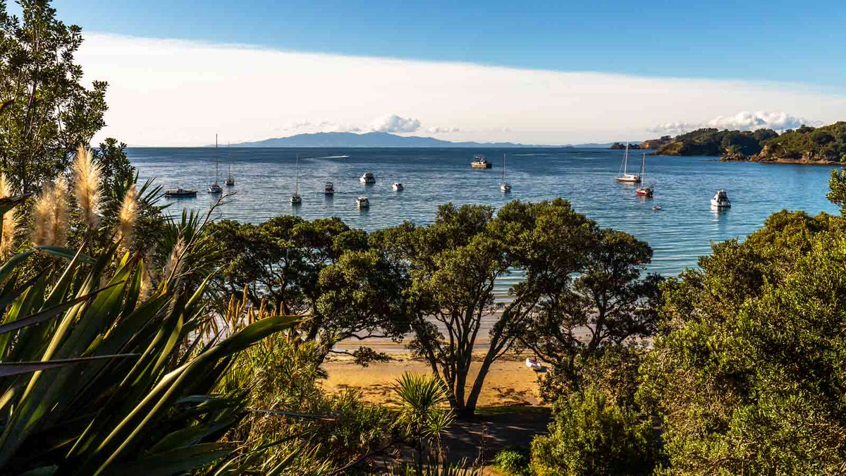 kiwipal's tweet photo. Visitez Waiheke Island, une île célèbre pour ses vignobles à seulement 45 minutes de ferry d'Auckland en Nouvelle-Zélande.

#waiheke #nouvellezelande

https://t.co/IaUEwIDD24 https://t.co/XYe1yniWgQ