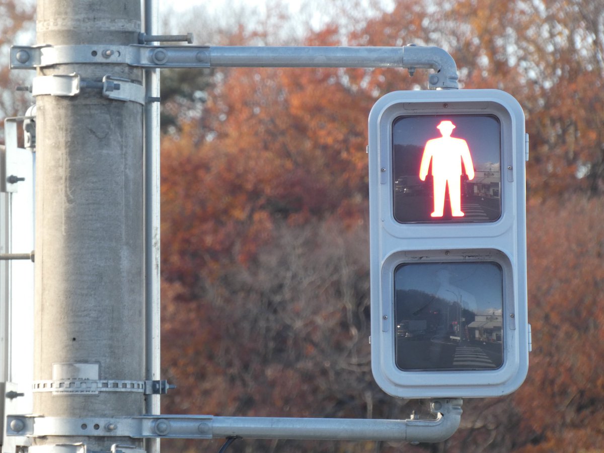 るーと メーカーにもよるかもしれませんが 素子露出と同じ配列なら断然素子の方がいいと考えられます ただ 面拡散の方がled素子数が少ない場合は面拡散でもいい気がしますね 日本信号は面拡散歩行者用灯器の中でも素子数が少ない方なのかも