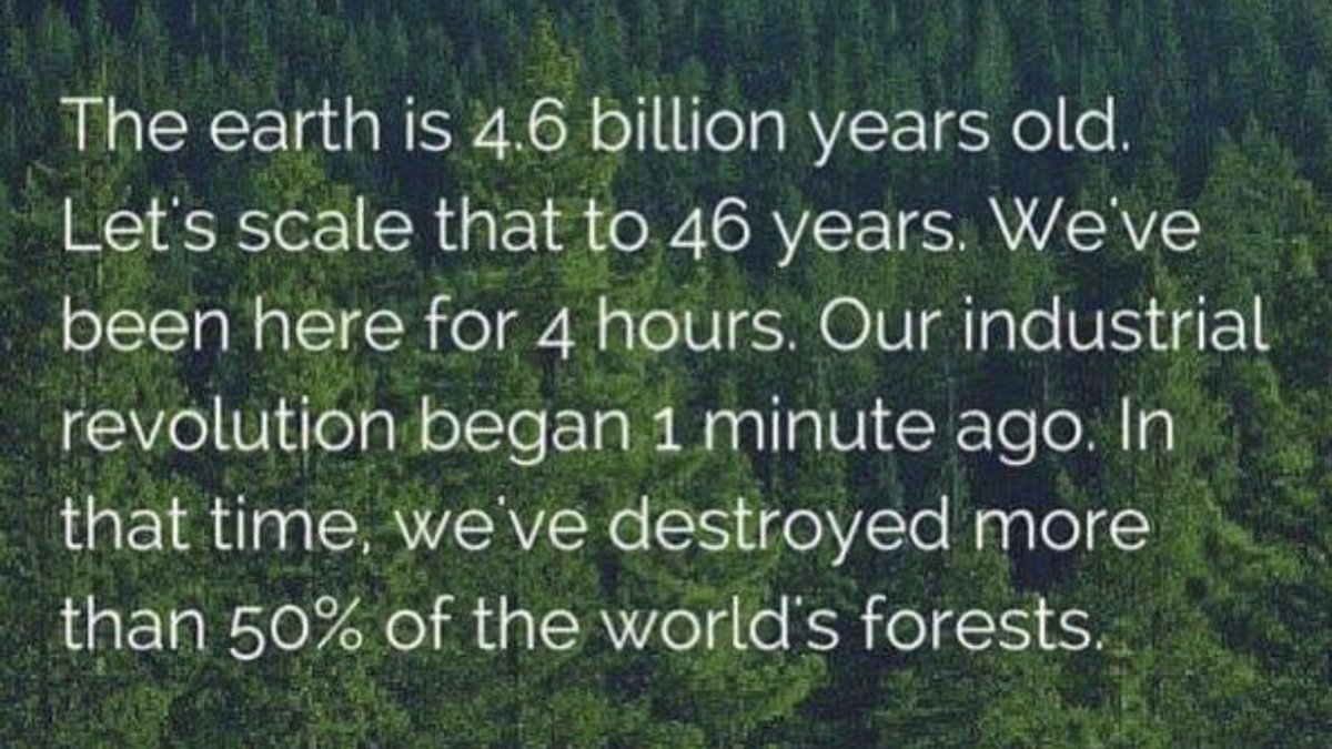 ZacGoldsmith's tweet image. 2021 must be the Year of Nature