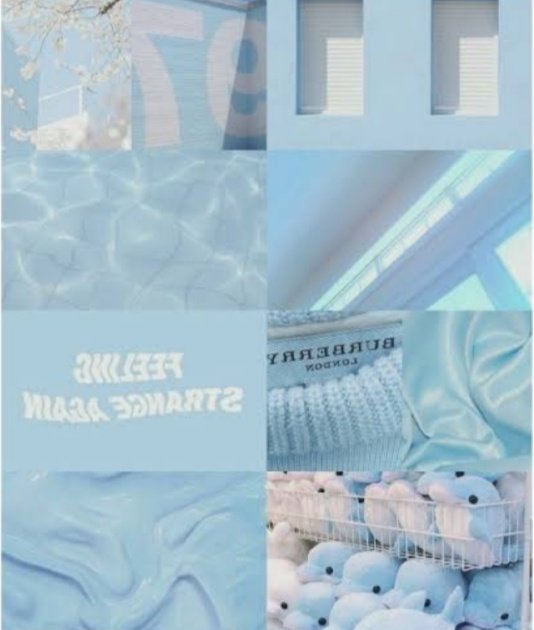 •|Shaheer Sheikh X Blue|• #ShaheerSheikh