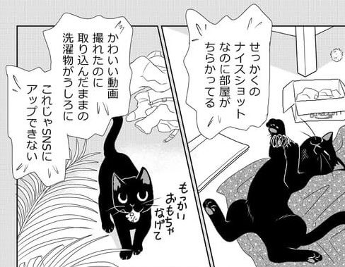 明日1月4日発売のJOUR2月号に「60手前でねこを飼う」後編が掲載されます。
クウの漫画、本年もよろしく読んでやってくださいね。#黒猫クウ #ねこがいる生活 #ねこ漫画 
