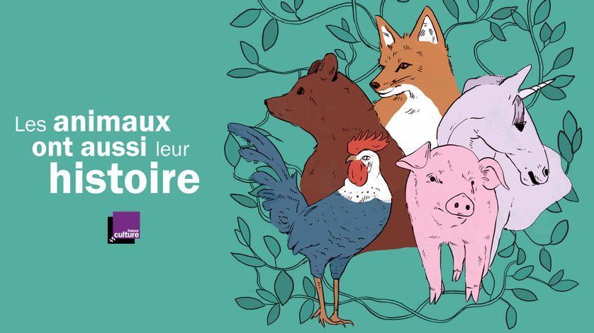 franceculture's tweet image. Le médiéviste Michel Pastoureau a rendu aux animaux leur dignité historique en nous contant les boires et déboires de huit des plus fameux d&apos;entre eux : le coq, l&apos;ours, le corbeau, la baleine, le loup, le cochon, le renard et la licorne.  franceculture.fr/emissions/les-…