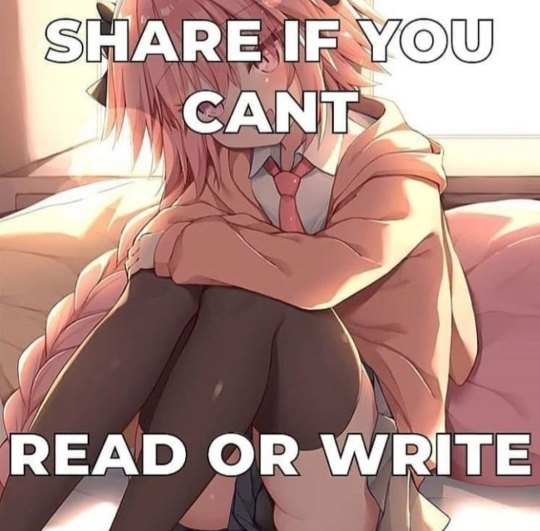FemboyHvnStore's tweet photo. https://t.co/GLvXSNRfEV