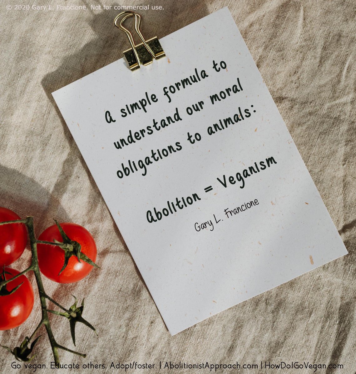 Principle Three:

Abolitionists maintain that veganism is a moral baseline and that creative, nonviolent vegan education must be the cornerstone of rational animal advocacy. 

The Six Principles of the Abolitionist Approach to Animal Rights: abolitionistapproach.com/about/the-six-…