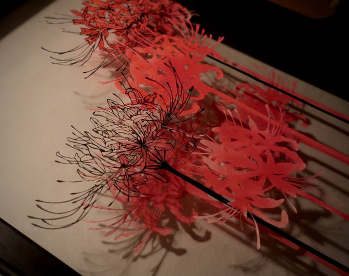 紙とカッターナイフで儚くも力強いお花を作ってます...!!!
#新春芸術祭2021
#切り絵 