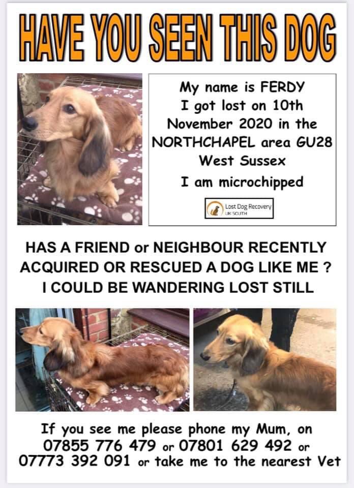 🆘❤️🆘 Fb Ferdy is missing ❤️

PLEASE SHARE FERDY'S POSTER LOCALLY AND NATIONWIDE - HE COULD BE ANYWHERE NOW😭