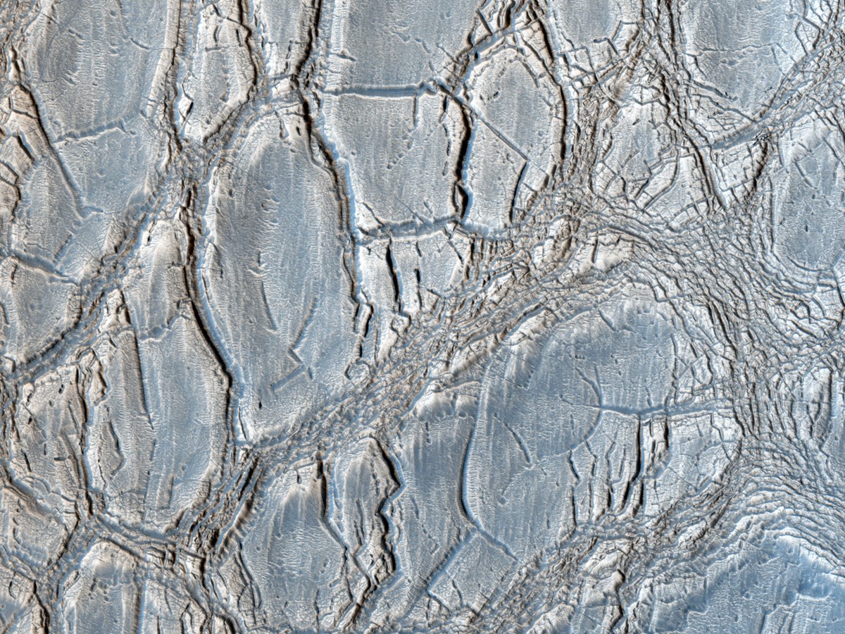 HiRISE's tweet image. HiPOD: An Unusual Mound – With its cracked, blistery appearance, this mound near the center of a very large, over 5-kilometer diameter mid-latitude crater poses an interesting question: how did this form? 

NASA/JPL/UArizona
uahirise.org/hipod/ESP_0350…
#Mars #science