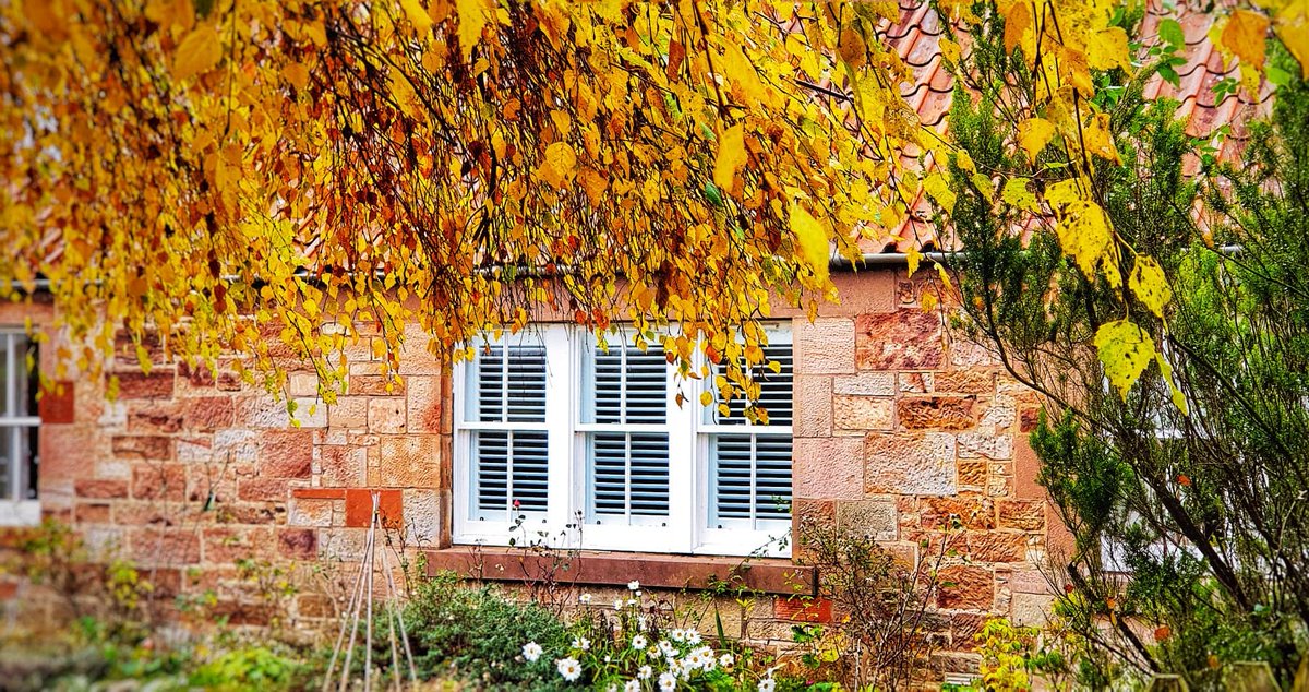 edinshutter's tweet image. Got #ShutterEnvy? Book your FREE contactless appointment today at edinburghshuttercompany.co.uk

#windowShutters #shutters #interiorDesign #interiors #windows #design #edinburghShutterCo