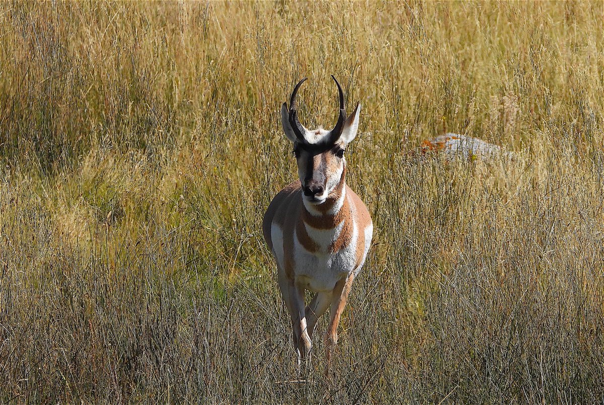 So why is the USA doing this. It's a way to put political pressure on other governments.Corporations and politicians working together, at the expense of the individual, in order to perpetuate their own control over others. This is Fascism (Mussolini 1932).