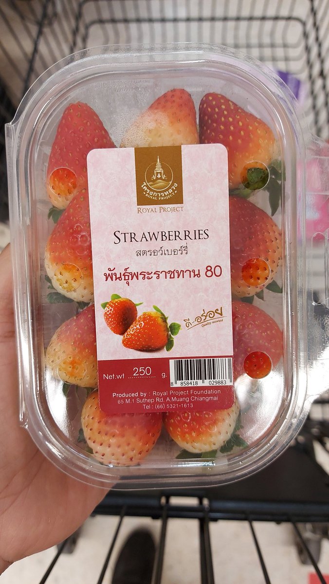 HallsZa66's tweet photo. ของดีราคาถูก
#ดอยคํา #โครงการพระราชดำริ #โครงการหลวง #พันธุ์พระราชทาน https://t.co/zZwOM79nJy