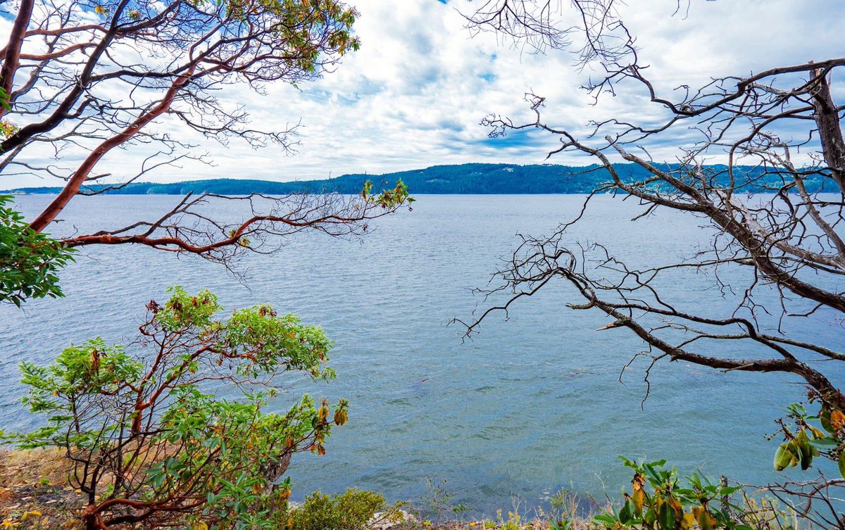 Dockside Realty tweet media