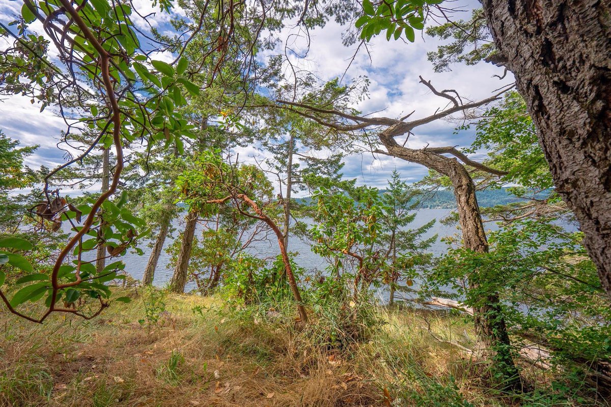 Dockside Realty tweet media